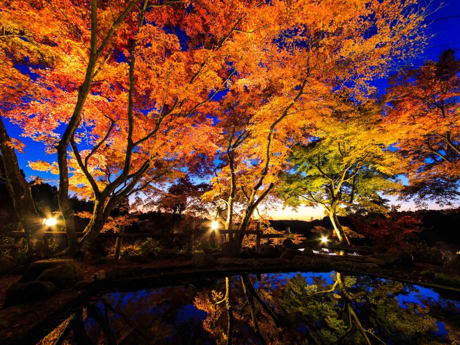 【2023最新】九州のおすすめ紅葉スポット30選