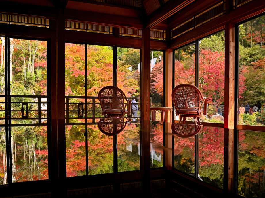 【2023最新】九州のおすすめ紅葉スポット30選