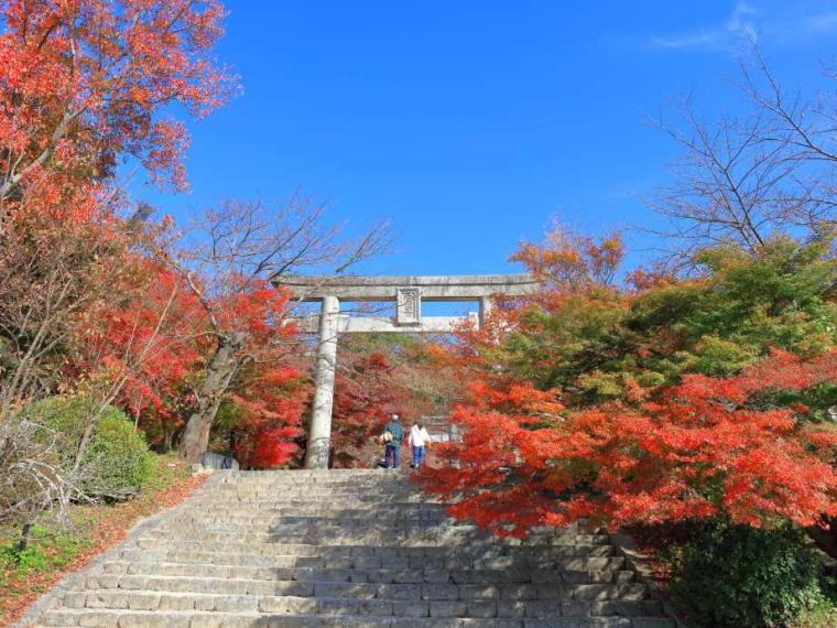 【2023最新】九州のおすすめ紅葉スポット30選