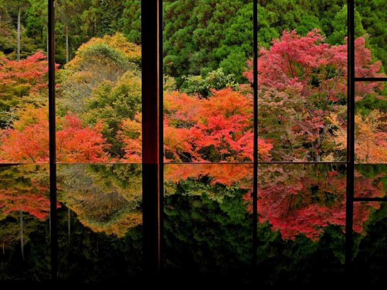 【2023最新】九州のおすすめ紅葉スポット30選
